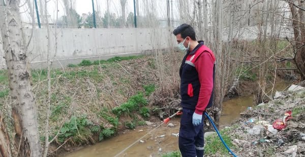 Sivas'ta sivrisineklere önlemler alınıyor-sivas gazete haber-radyobora