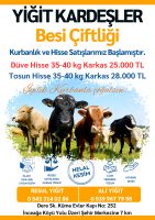 WhatsApp Görsel 2025-04-26 saat 16.39.07_20995688