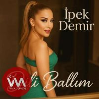 ipek demir