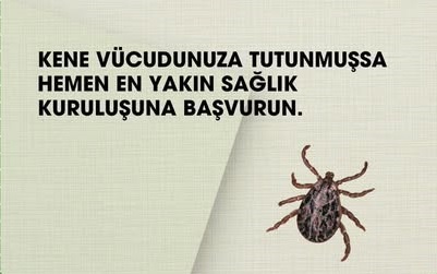 Kene Kaynaklı Kırım Kongo Kanamalı Ateşi (KKKA) Hakkında Önemli Uyarı-sivas gazet haber -radyo bora