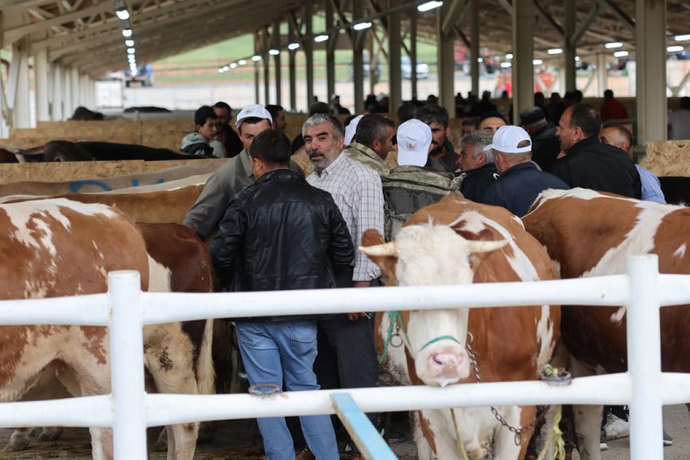Sivas'ta Yeni Kurban Pazarı Yüzleri Güldürdü-SİVAS GAZETET HABER-RADYO BORA
