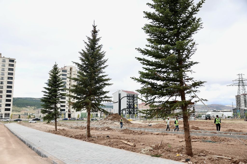 Sivas'ta Hem yeşili, hem de şehidimizin adını yaşatacağız-sivas gazete haber-radyo bora