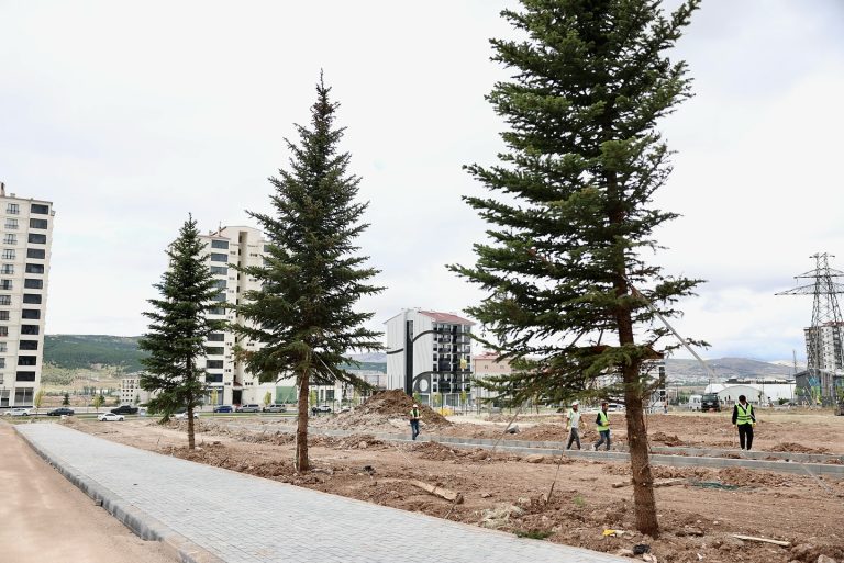 Sivas'ta Hem yeşili, hem de şehidimizin adını yaşatacağız-sivas gazete haber-radyo bora