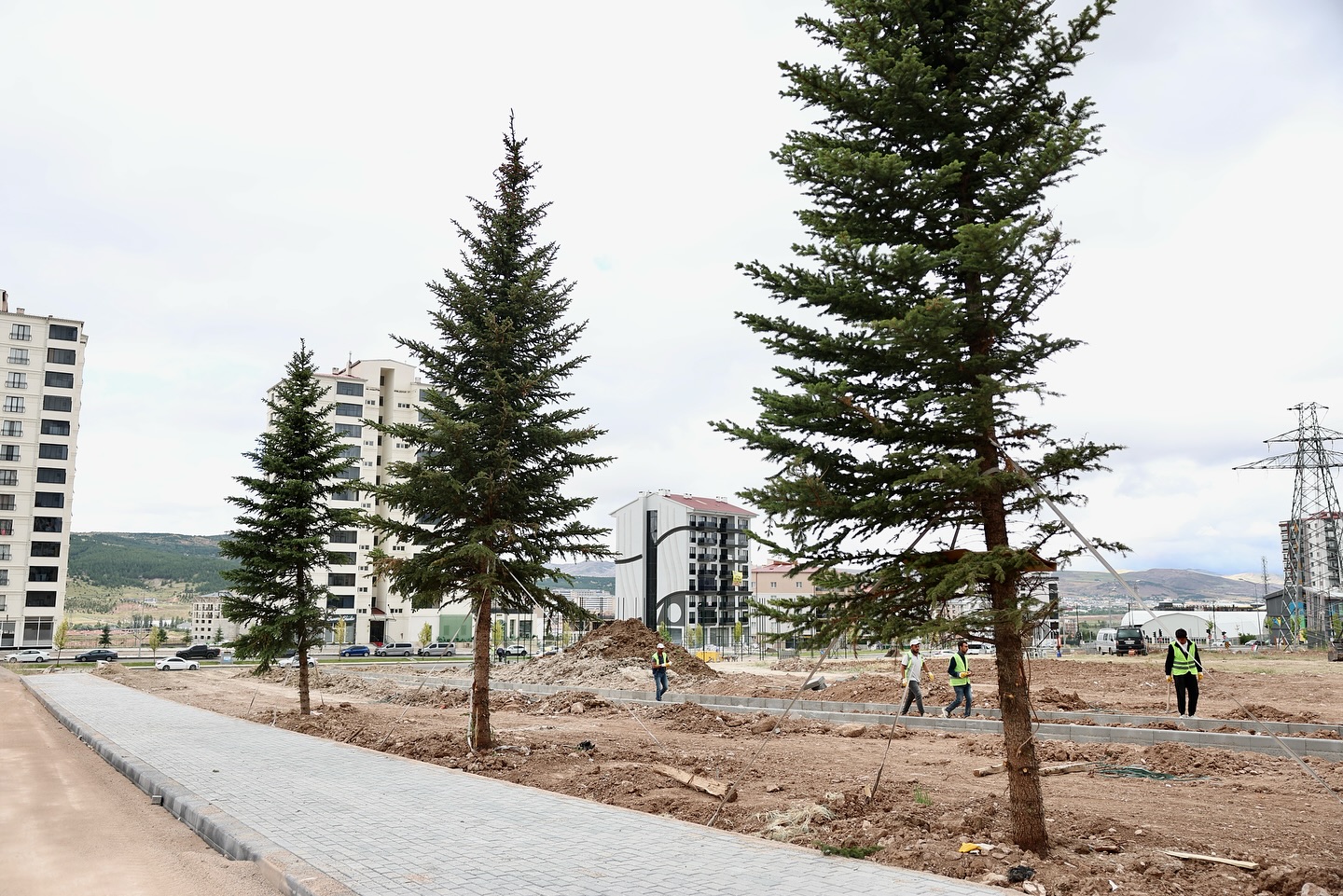 Sivas'ta Hem yeşili, hem de şehidimizin adını yaşatacağız-sivas gazete haber-radyo bora