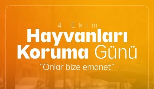 Bugün 4 Ekim Hayvanları Koruma Günü 2 sivasgazetehaber radyobora