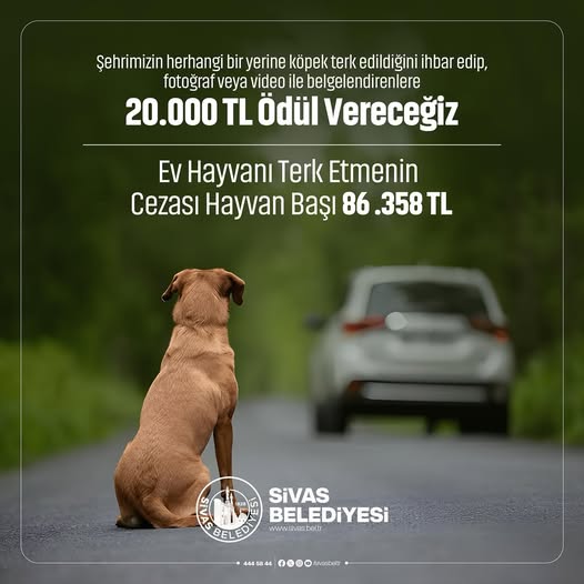 Sivas'ta Evcil hayvanını sokağa bırakana büyük ceza sivasgazetehaber radyobora