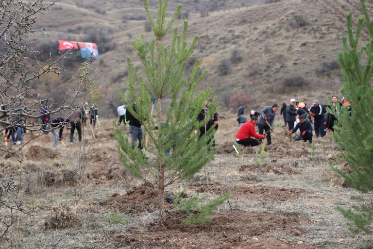 Sivas'ta Muhsin Yazıcıoğlu Vefa Ormanı, 11 Kasım Milli Ağaçlandırma Günü’nde fidan dikimine açıldı. sivasgazetehaber radyobora