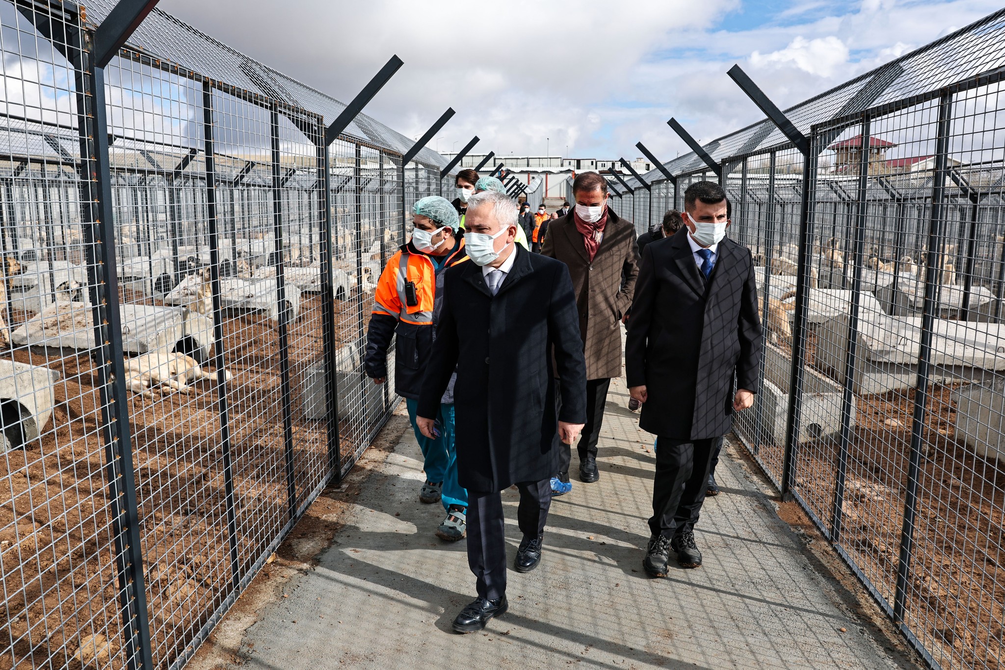 Sivas Meraküm Hayvan Bakım ve Rehabilitasyon Merkezi’nde Sokak Hayvanları Güvende SİVASGAZETEHABER RADYOBORA