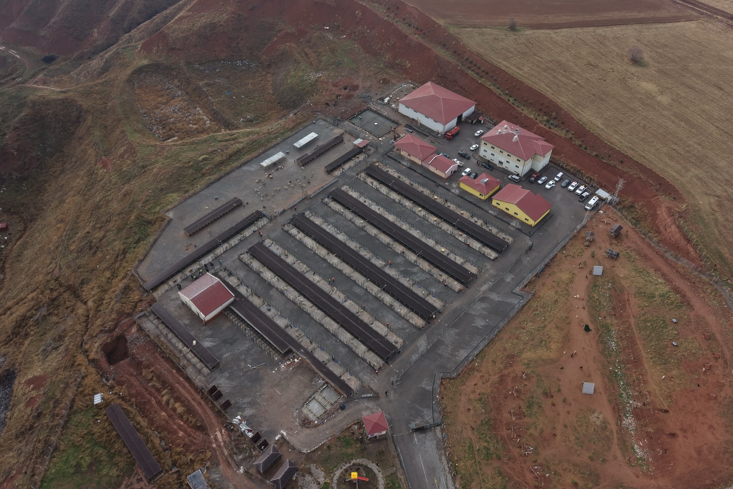 Sivas'ta Sokak Hayvanları Bakım ve Rehabilite Merkezimizi Yenileniyor sivasgazetehaber radyobora