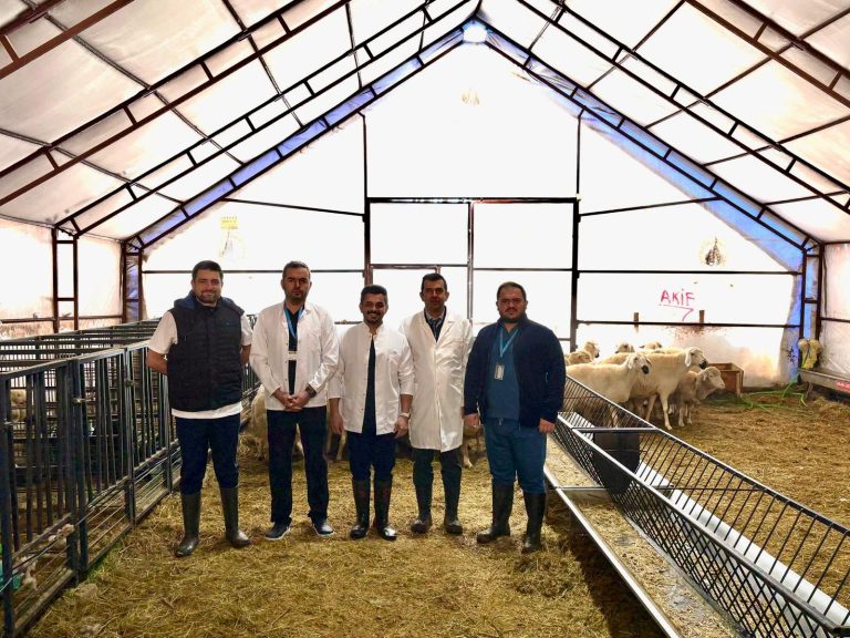 Cumhuriyet Üniversitesi Veteriner Fakültesi Projesi TÜBİTAK 1001 Programı Kapsamında Desteklenmeye Hak Kazandı radyobora sivasgazetehaber