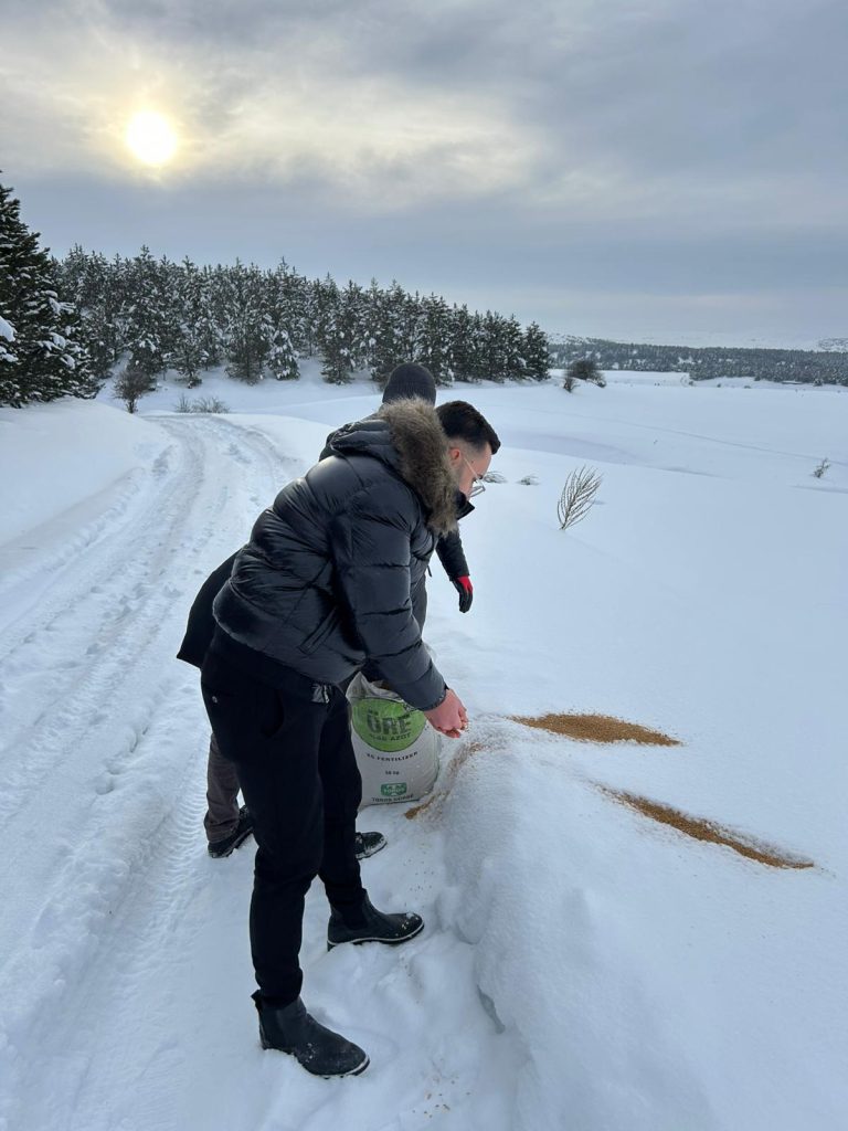 Cumhuriyet Üniversitesi Veteriner Fakültesinden Yabani Hayvanlar İçin Doğaya Yem Desteği radyobora sivasgazetehaber