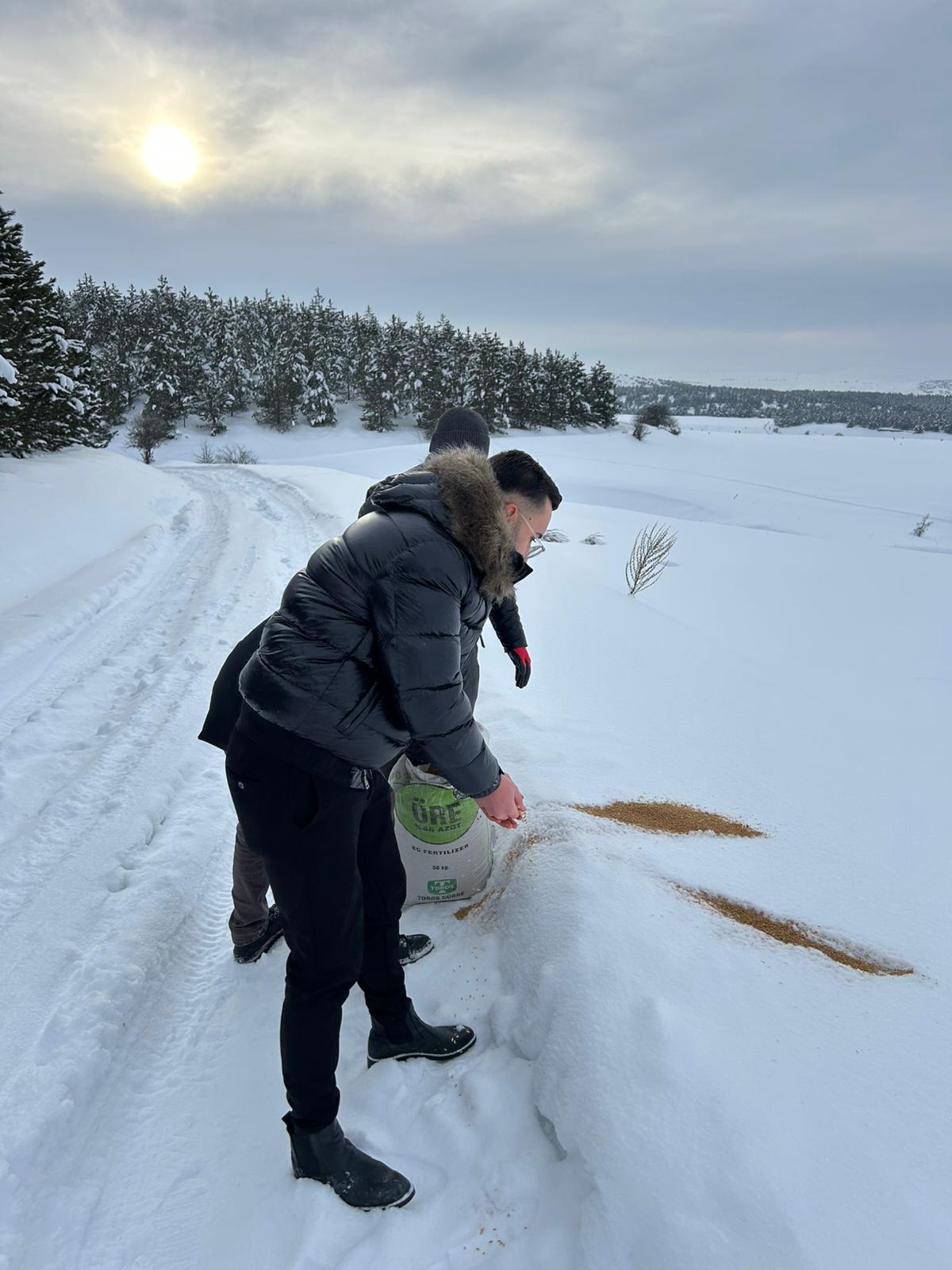 Cumhuriyet Üniversitesi Veteriner Fakültesinden Yabani Hayvanlar İçin Doğaya Yem Desteği radyobora sivasgazetehaber