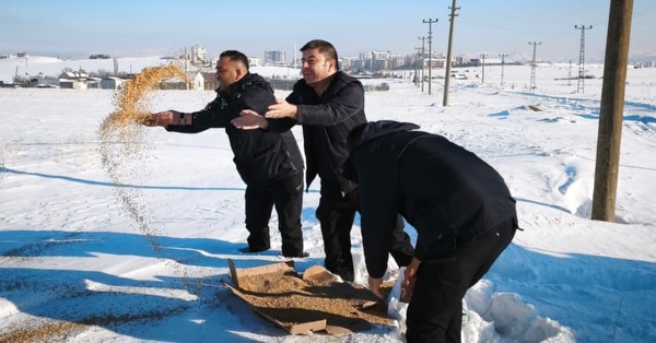 Sivas Zabıta Ekipleri Doğal Yaşam İçin Sahada.. sivasgazetehaber radybora