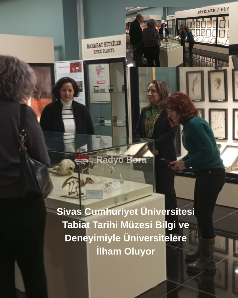 Sivas Cumhuriyet Üniversitesi Tabiat Tarihi Müzesi Bilgi ve Deneyimiyle Üniversitelere İlham Oluyor radyo bora