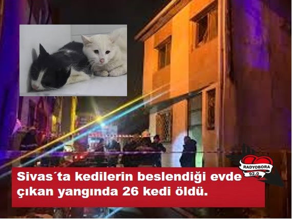Sivas´ta kedilerin beslendiği iki katlı müstakil evde çıkan yangında 26 kedi öldü. radyobora