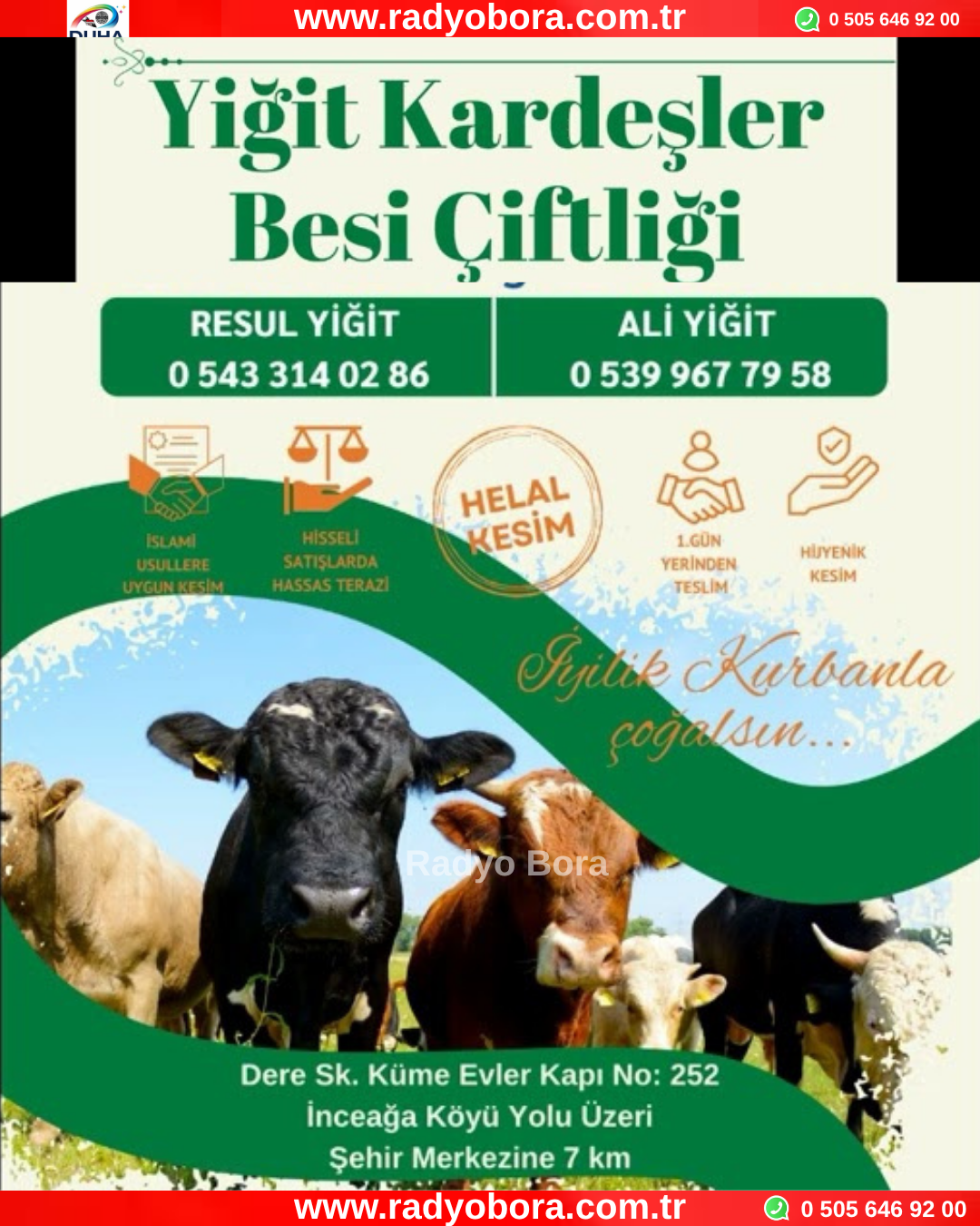 Yiğit Kardeşler Besi Çifliği Radyo Bora