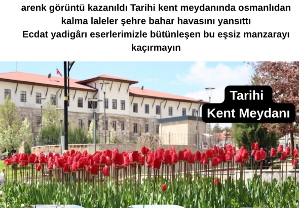 Sivas’ta Tarihi Kent Meydanımı Rengârenk Lalelerle Süsledi Radyo Bora