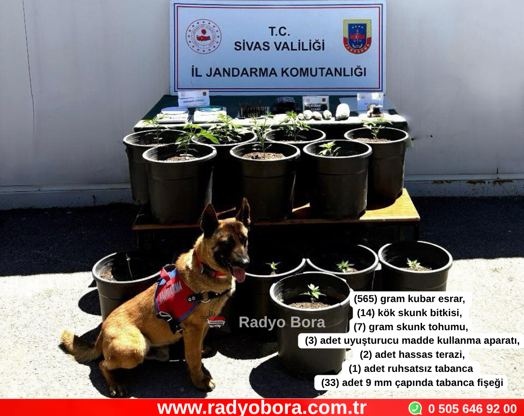 Sivas’ta 5  Şahıs Yakalandı Radyo Bora