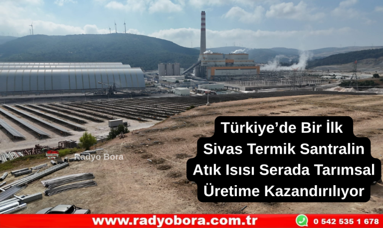 Türkiye’de Bir İlk Sivas Termik Santralin Atık Isısı Serada Tarımsal Üretime Kazandırılıyor Radyo Bora